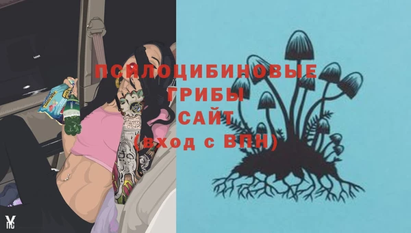 шишки Баксан