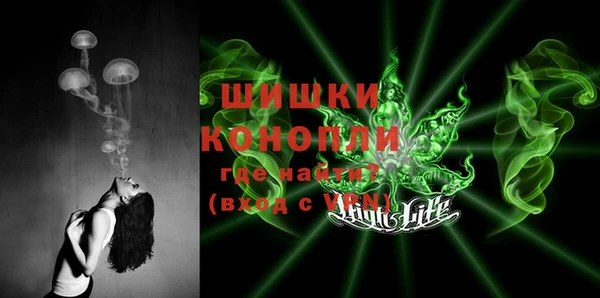 шишки Баксан