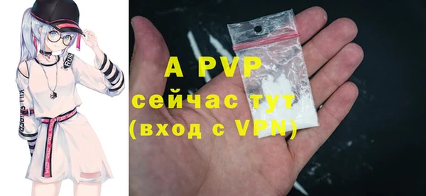 шишки Баксан