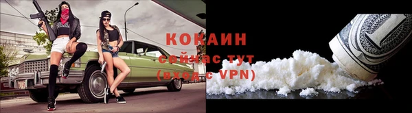 шишки Баксан