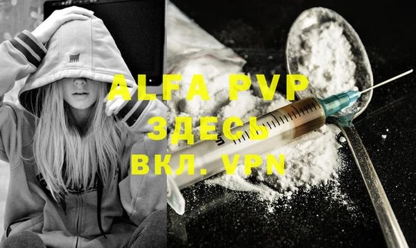 apvp Белокуриха