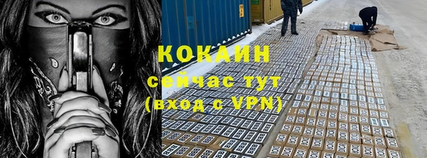 шишки Баксан