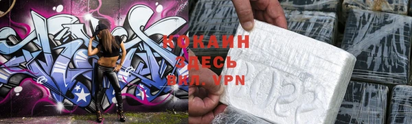 шишки Баксан