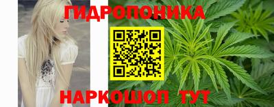 гашик Балахна