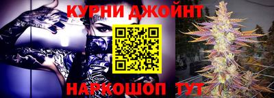 гашик Балахна