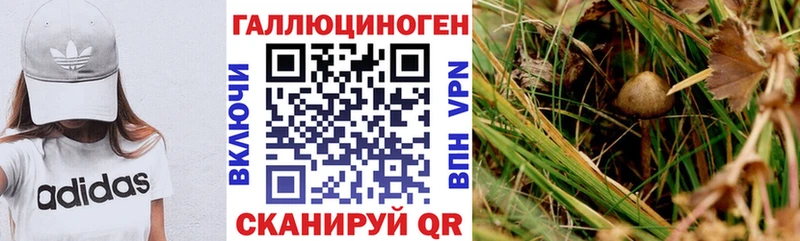 Галлюциногенные грибы Psilocybine cubensis  Бутурлиновка 