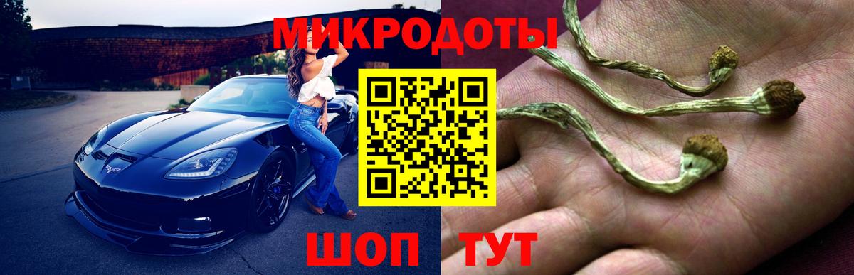 Галлюциногенные грибы Psilocybe  Псилоцибиновые грибы Cubensis  Бутурлиновка 